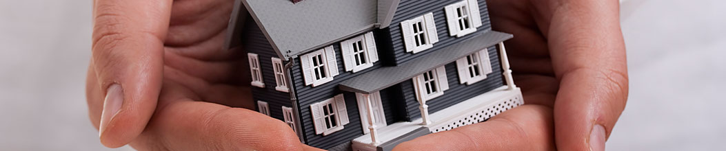 domestic renovators